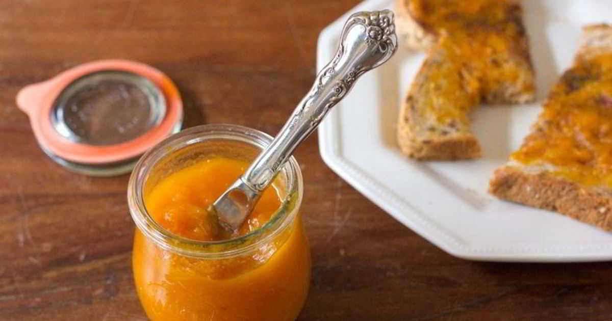 Топ 6 вкусных рецептов приготовления соуса из абрикосов на зиму