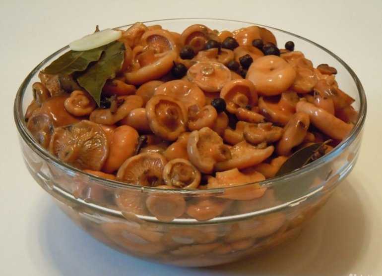 Как приготовить икру из рыжиков на зиму: рецепты грибных закусок