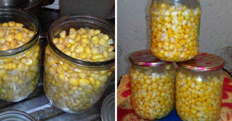 Консервирование кукурузы в зернах в домашних условиях. консервированная кукуруза - рецепт :: syl.ru