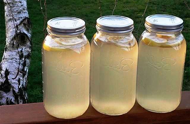 Березовый сок: 10 рецептов консервирования в домашних условиях