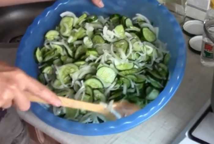 Салат «нежинский» из огурцов на зиму: рецепты