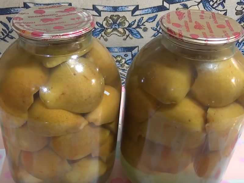Компот на зиму из груш: простые рецепты со стерилизацией и без