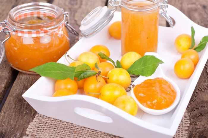 Джем из алычи – 6 рецептов на зиму с пошаговыми фото