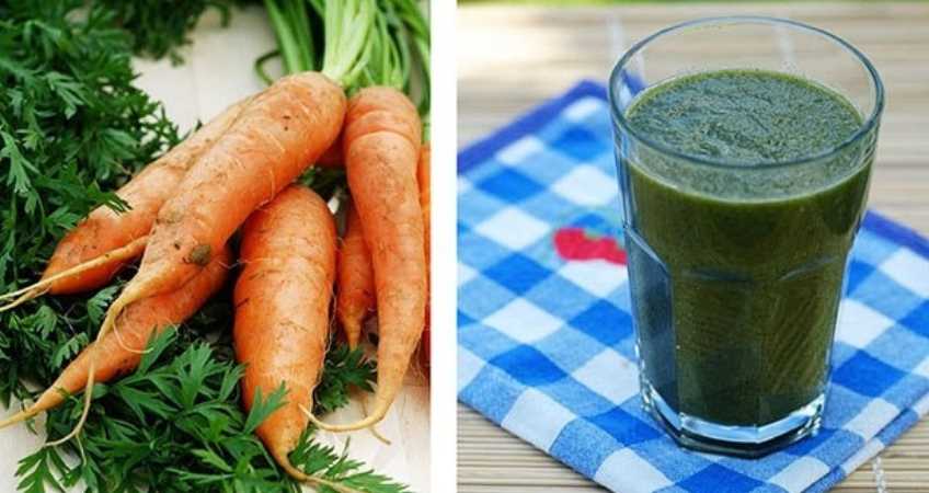 4 лучших пошаговых рецепта заготовок морковной ботвы на зиму