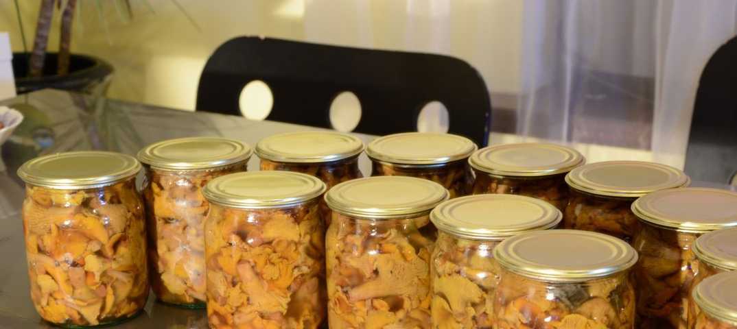 Маринованные лисички на зиму - 15 вкусных рецептов приготовления заготовки, хрустящие, острые, с уксусом и без, с пряностями