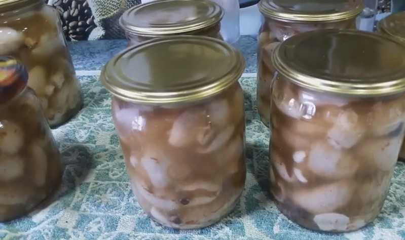 Маринад для маслят - самые вкусные рецепты для грибов на зиму в домашних условиях