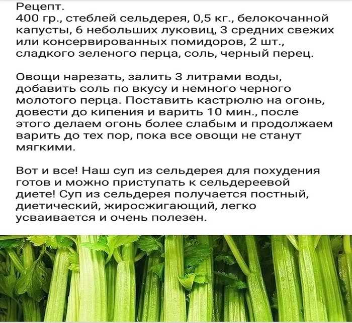 ᐉ как заготовить листья сельдерея на зиму - godacha.ru