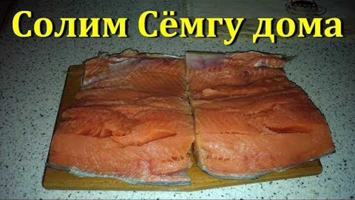 Как посолить семгу - очень вкусные рецепты приготовления соленой рыбы в домашних условиях