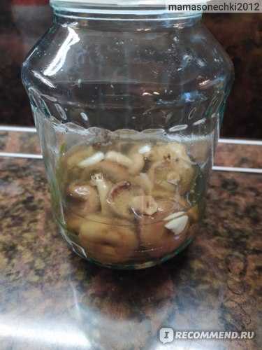 Свинушки грибы способ приготовления 🍄 лучшие рецепты и советы
