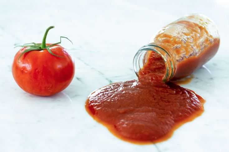 Кетчуп из помидоров с яблоками на зиму — 5 простых рецептов с фото пошагово