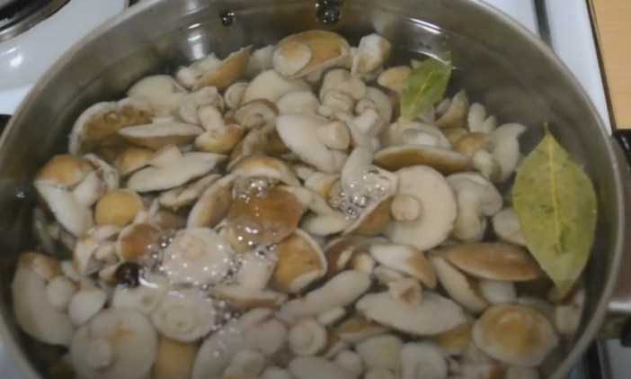 Маринад для маслят - лучшие рецепты для вкусной грибной заготовки