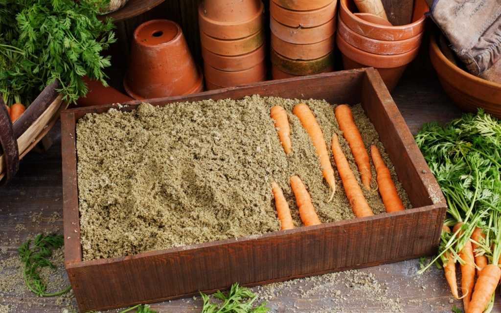 Помидоры с морковной ботвой: рецепты на зиму
