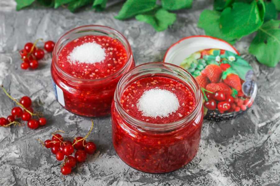 Красная смородина без варки на зиму - 6 рецептов перетертой смородины с сахаром с фото пошагово