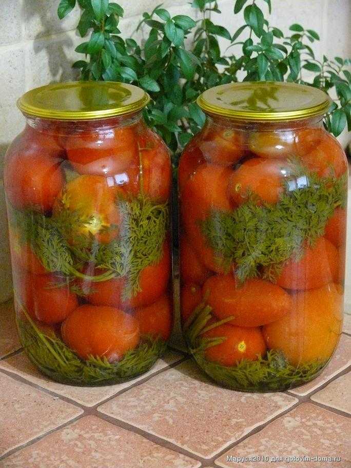 Помидоры с морковной ботвой на зиму: рецепты засолки