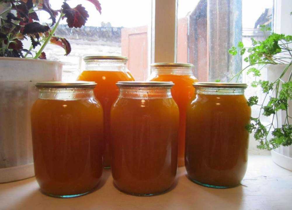 Морковный сок на зиму с помощью соковыжималки в домашних условиях: как приготовить и закатать