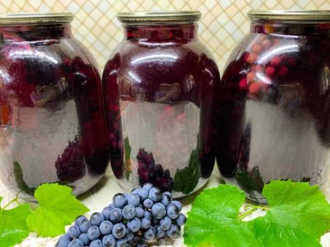 Компот из винограда изабелла на зиму - 5 простых рецептов в 3-х литровой банке с пошаговыми фото