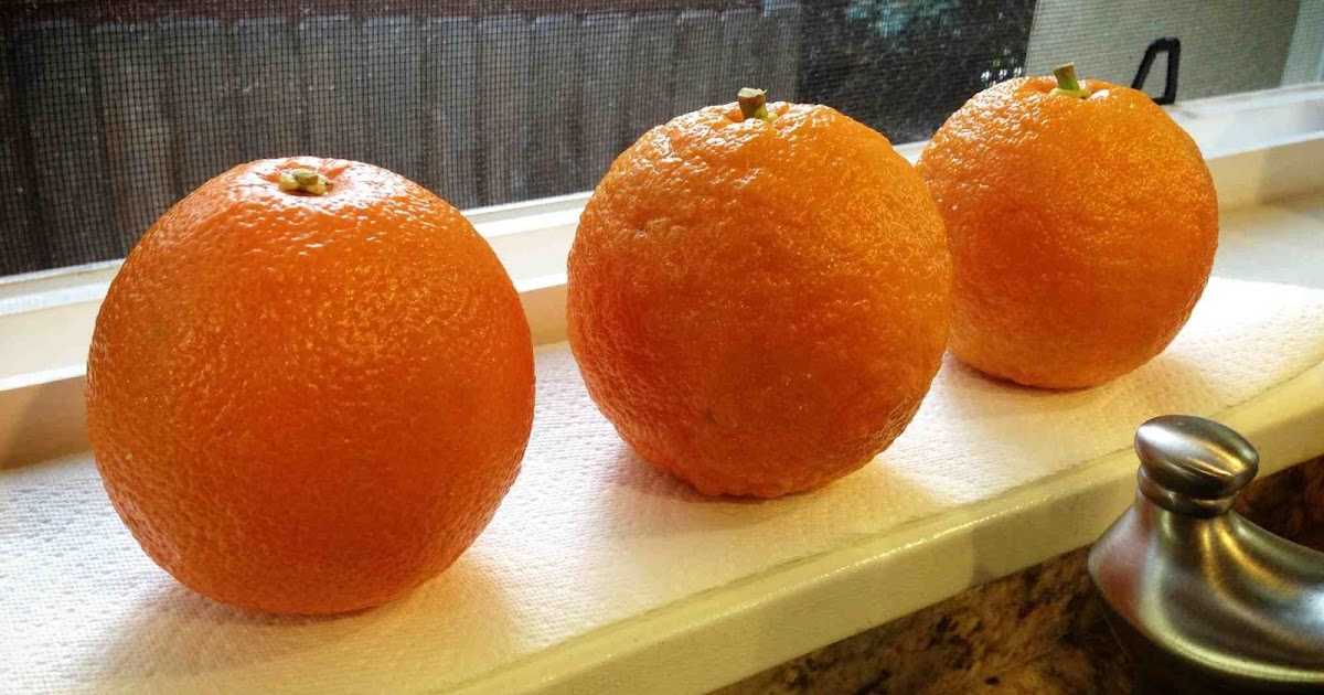Апельсиновый джем рецепт с фото пошагово и видео - 1000.menu