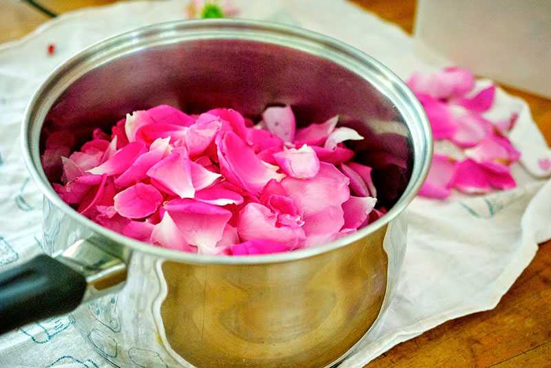 Какая роза подходит для варенья: сорта, их польза и вред. варенье из лепестков розы в домашних условиях — вкусный рецепт розового лакомства от аллы ковальчук »