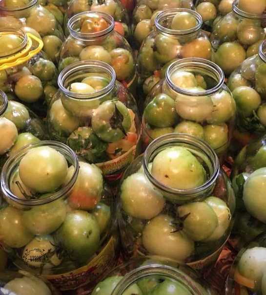 Маринованные зеленые помидоры на зиму: рецепты с фото, пальчики оближешь