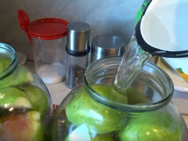 Пюре из груш на зиму — 7 рецептов в домашних условиях