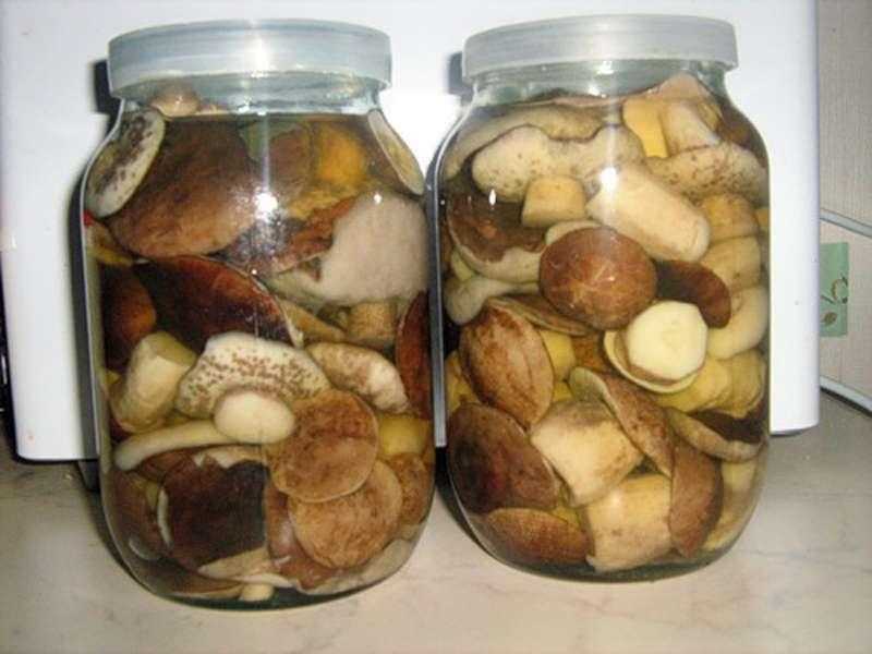 Собираем и маринуем белые грибы – рецепты маринованных грибов на зиму