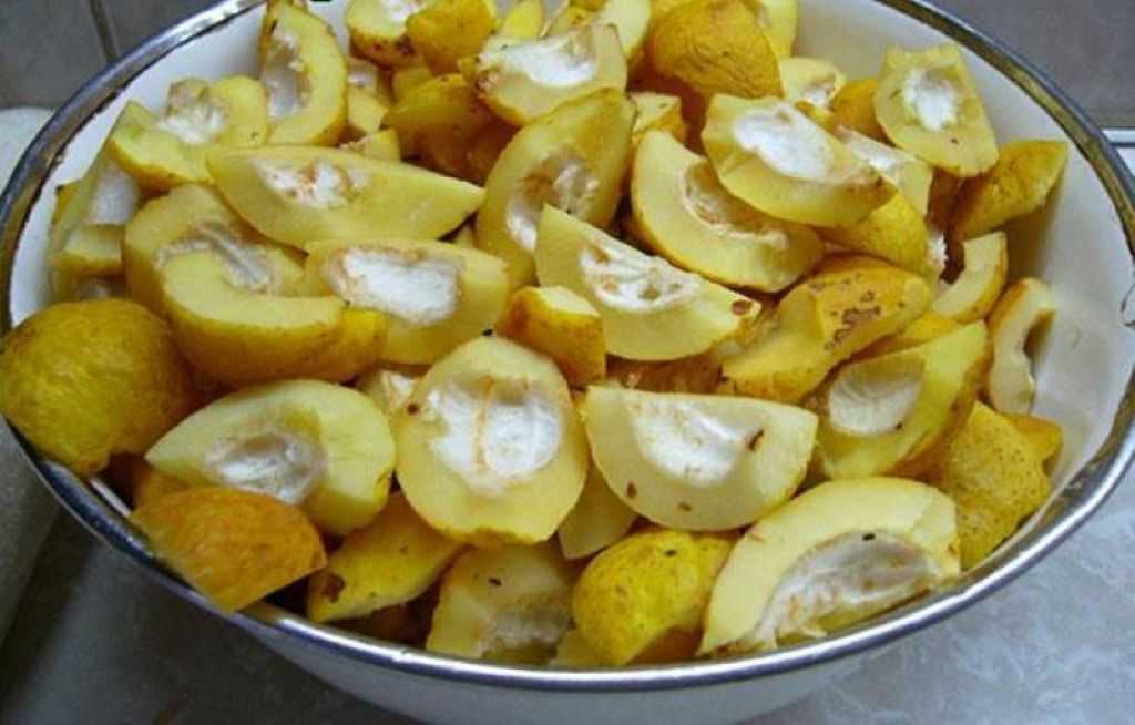 Полезные и вкусные рецепты приготовления лимонника китайского.