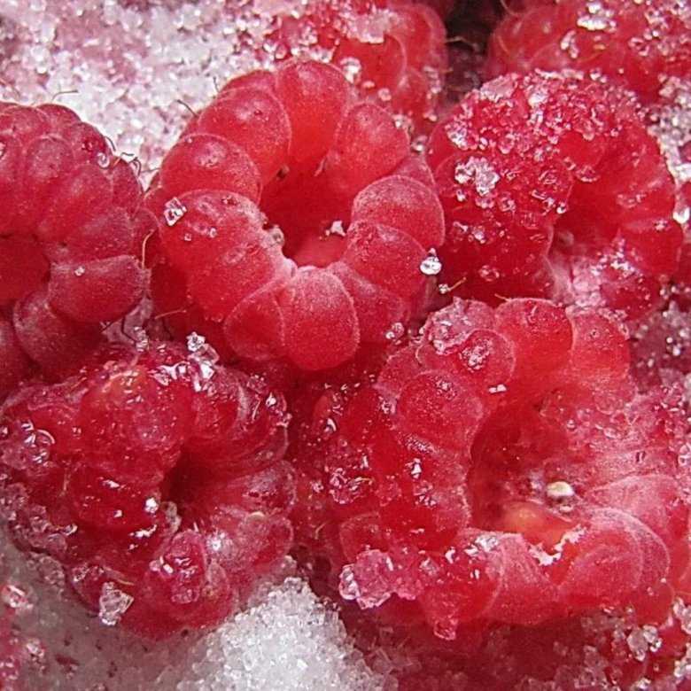Малина с сахаром на зиму без варки: секреты готовки лакомства, рецепты