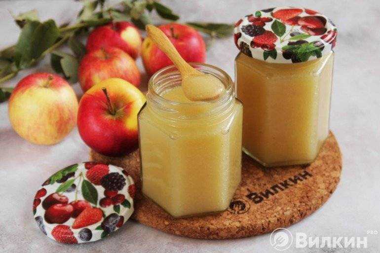 Яблочное пюре — топ-20 рецептов в домашних условиях на зиму