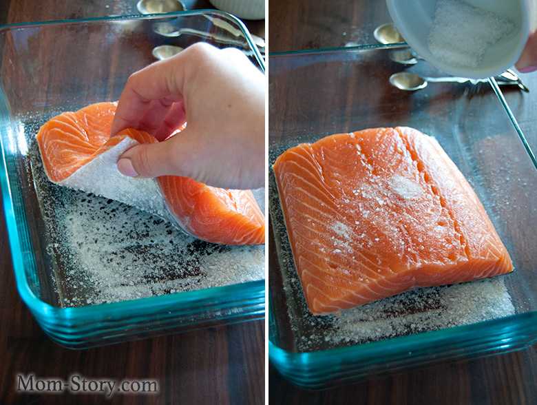Семга соленая в домашних условиях. как правильно засолить красную рыбу в домашних условиях