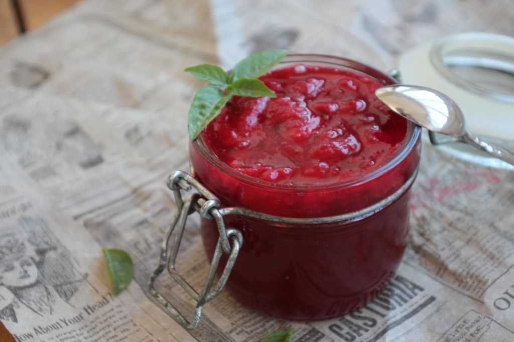 Соус из красной смородины на зиму – 9 самых вкусных рецептов