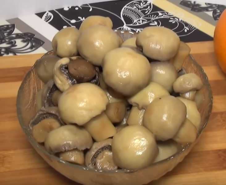 Маринованные шампиньоны в домашних условиях – вкуснейшие грибочки! как мариновать шампиньоны дома: быстро, вкусно
