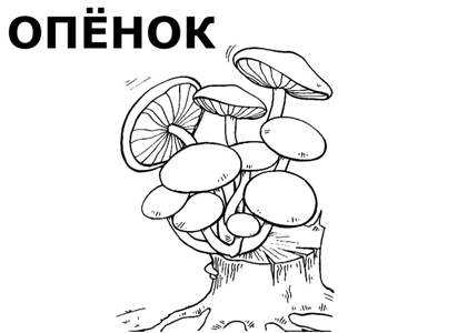 ✅ грибы песочники на зиму рецепты приготовления - dobropovar.ru