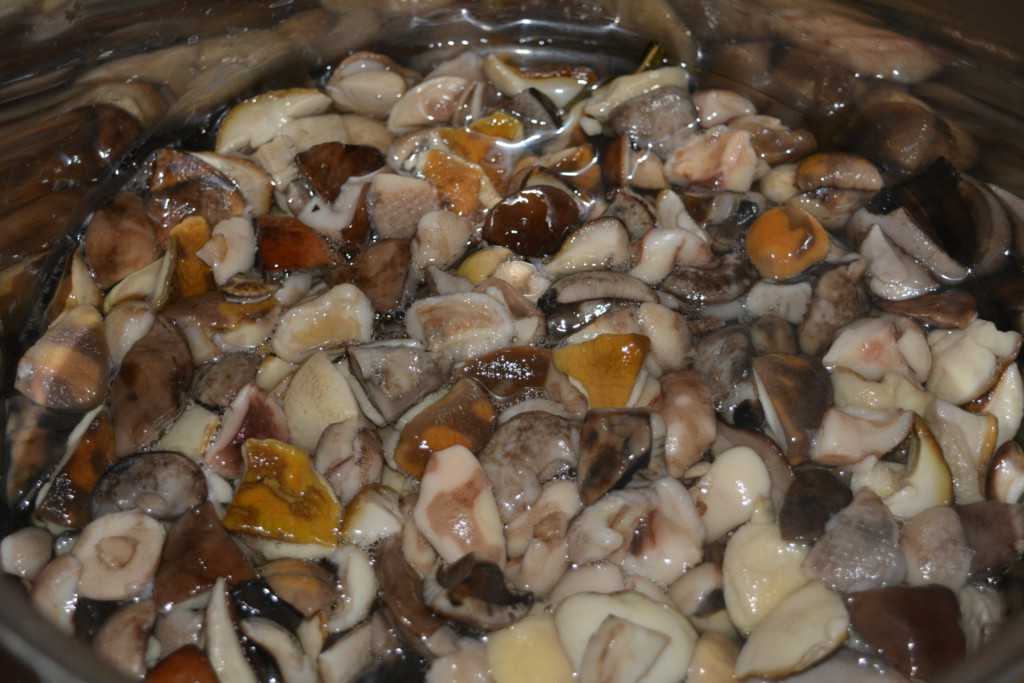 Кабачки как грибы: 6 самых вкусных рецептов, просто объедение!