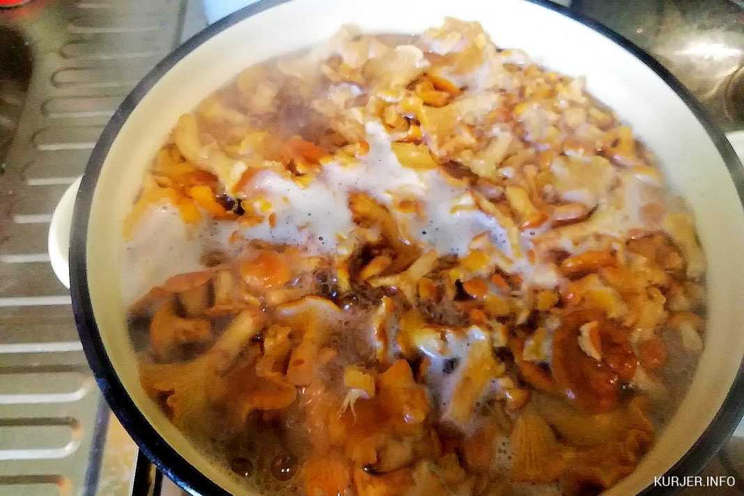 Заготовки из грибов лисичек на зиму: лучшие рецепты. маринованные, соленые, жареные, замороженные лисички, в томатном соусе, икра, солянка из лисичек на зиму: рецепты приготовления. сколько варить лис