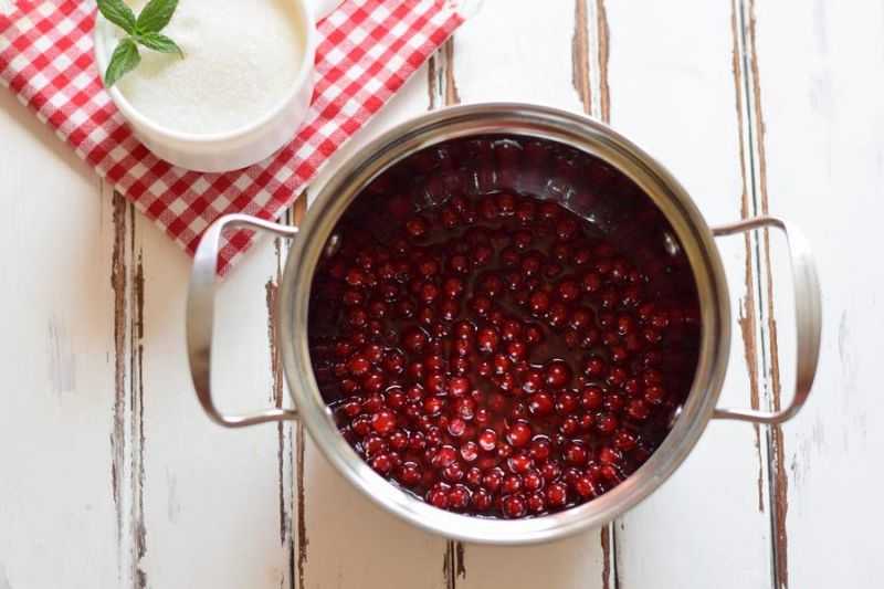 Простой рецепт варенья из красной смородины на зиму — как приготовить вкусное желе?
