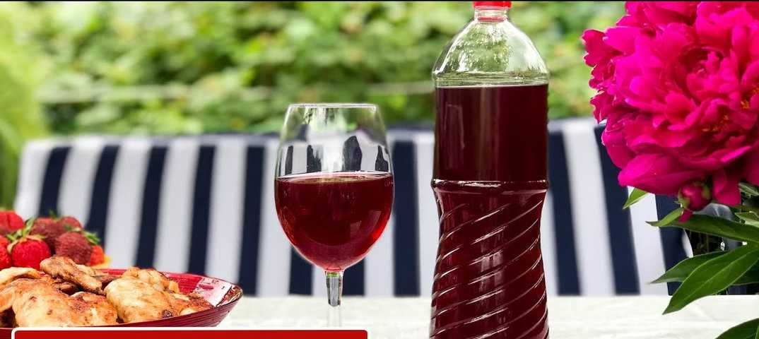 Вино из варенья - лучшие рецепты приготовления алкоголя в домашних условиях