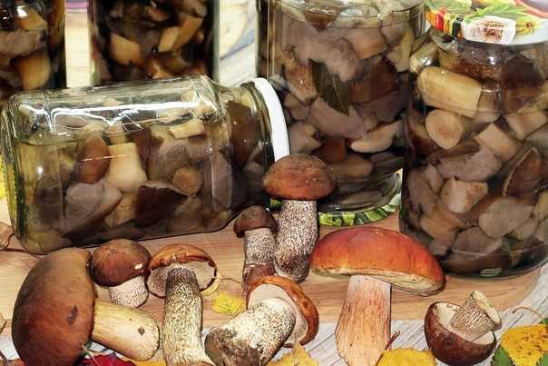 Маринованные белые грибы: готовим лесные боровички на зиму по проверенному рецепту