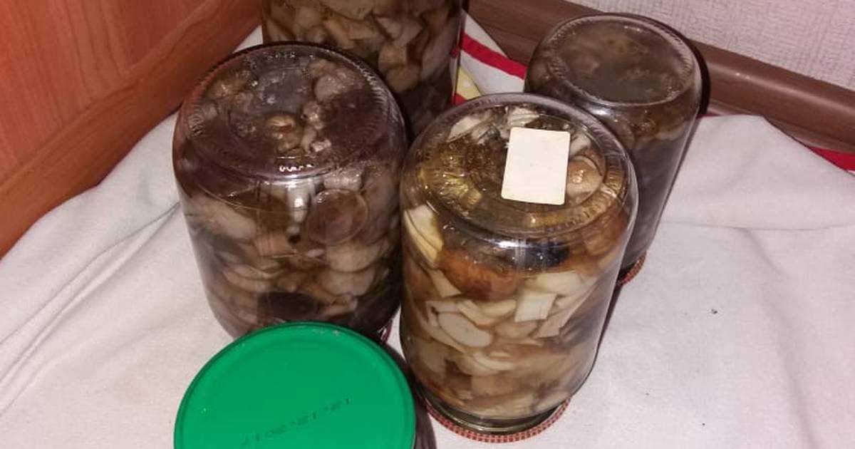 Маринование рядовок: фото, пошаговые рецепты, как мариновать грибы на зиму в домашних условиях