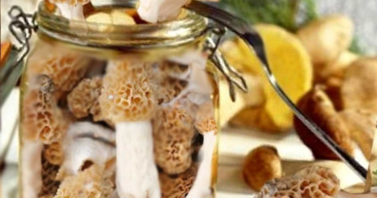 Как приготовить сморчки грибы: рецепты приготовления с фото пошагово, вкусно и просто – рецепты с фото
