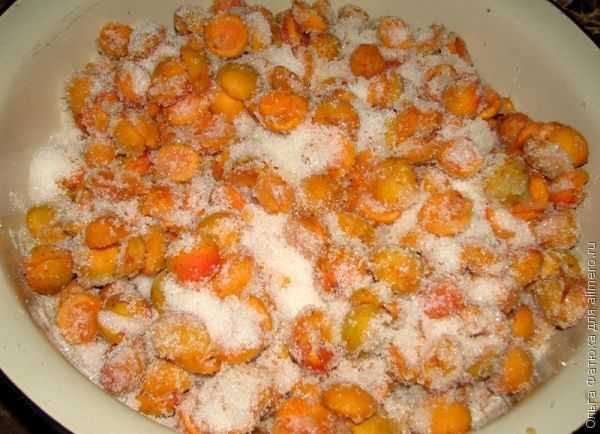 Варенье из абрикосов с косточками: королевский рецепт и 7 простых способов на зиму