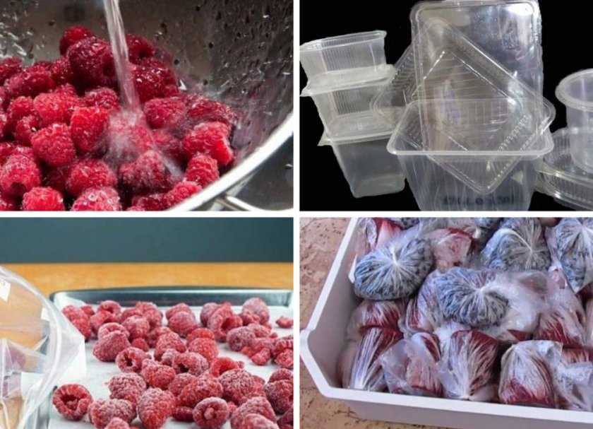Как заморозить ягоды на зиму в домашних условиях