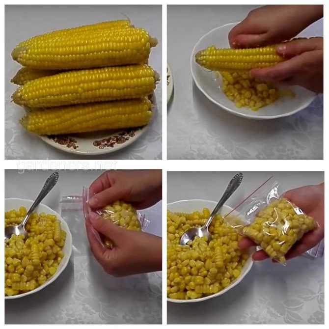 Кукуруза маринованная в початках на зиму: лучшие рецепты заготовки молодой кукурузы в домашних условиях