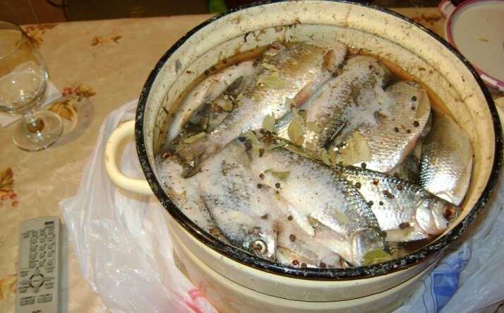 Сухой засол рыбы в домашних условиях: советы новичкам