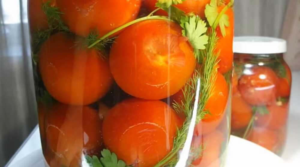 Солёные помидоры в банках холодным способом как бочковые | народные знания от кравченко анатолия
