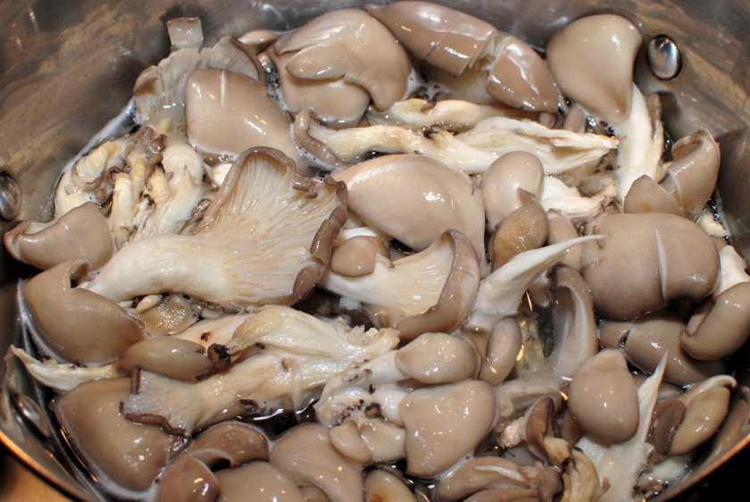 Как мариновать грибы вешенки в домашних условиях на зиму (+24 фото)?