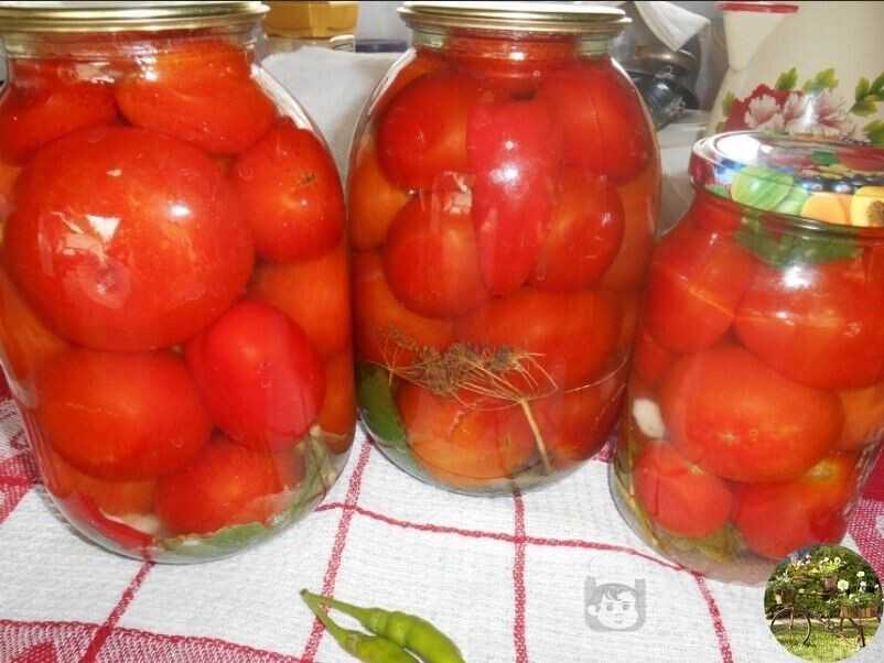 Квашеные помидоры на зиму: как с бочки, простые и вкусные рецепты
