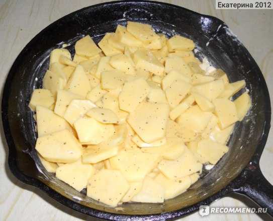 Лучшие рецепты маринования сыров – деликатесные закуски без проблем