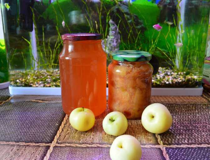 Яблочный сок через соковыжималку на зиму – 5 рецептов в домашних условиях с пошаговыми фото