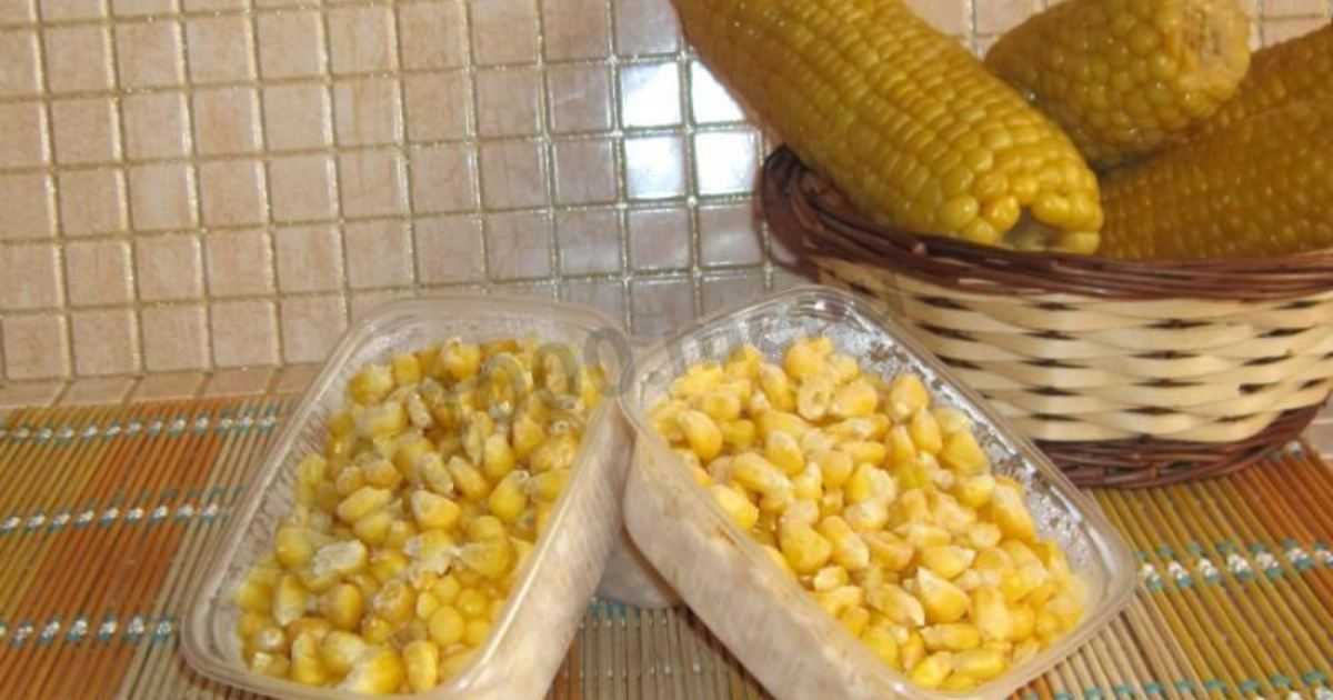 Кукуруза на зиму - лучшие способы заготовки початков и зерен