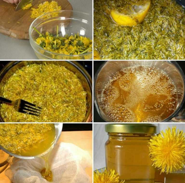 Варенье из одуванчиков - рецепт приготовления. как сварить одуванчиковый мед в домашних условиях?